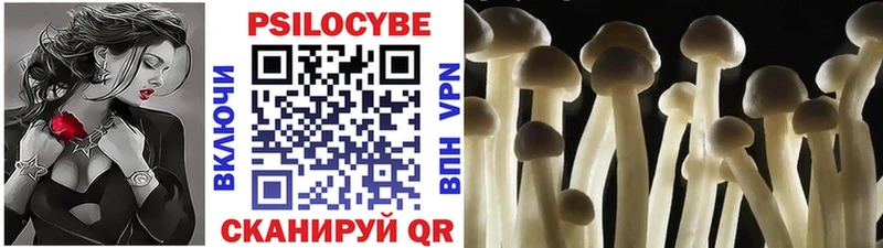 закладка  Рыбное  Галлюциногенные грибы Psilocybine cubensis 